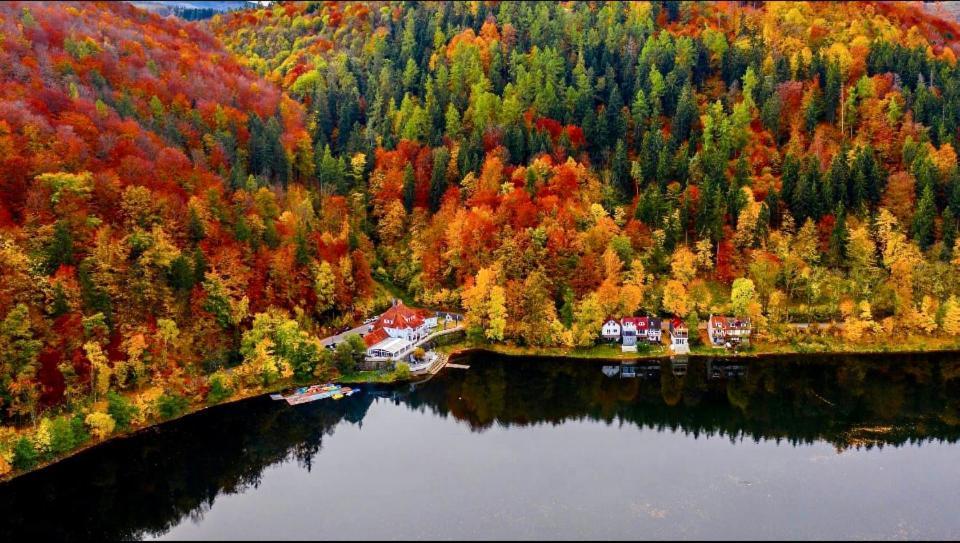 Fregata Bed & Breakfast Zagorze Slaskie Luaran gambar